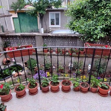 Guest House Kukera Pavel Banya Luaran gambar